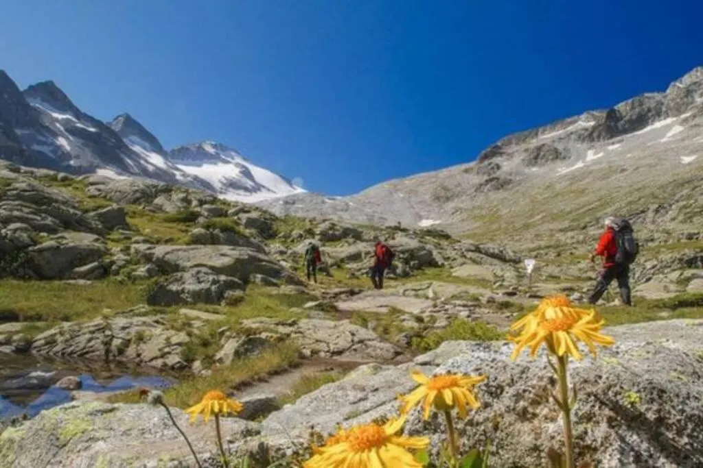Appartamento Passo Del Tonale Sulle Piste